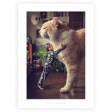 Le Club des 11 inédites