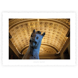 Le Club des 11 inédites