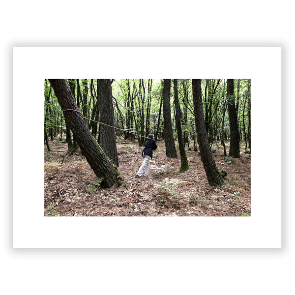 The tree straightener