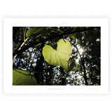 Le Club des 11 inédites