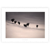 Le Club des 11 inédites