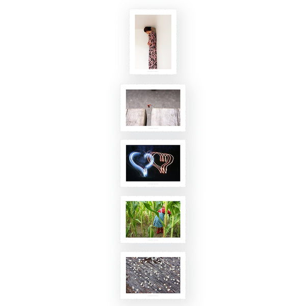 La Collection "Aux merveilles"